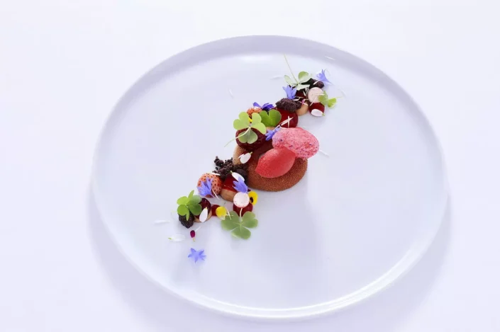 Ein kunstvoll angerichtetes Dessert auf einem weißen Teller, verziert mit Beeren, essbaren Blüten und feinen Kräutern.