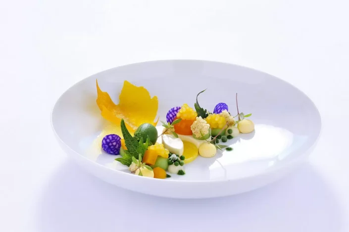 Kunstvoll angerichtetes Gourmet-Gericht auf einem weißen Teller, das durch seine feinen Texturen und leuchtenden Farben besticht.