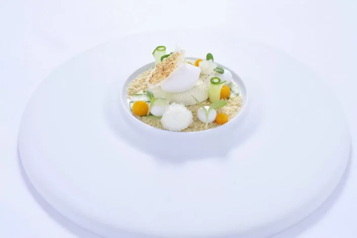 Ein kunstvoll angerichtetes Gourmet Dessert auf einem weißen Teller, präsentiert mit feinen Texturen und frischen Akzenten für die Gastronomie.