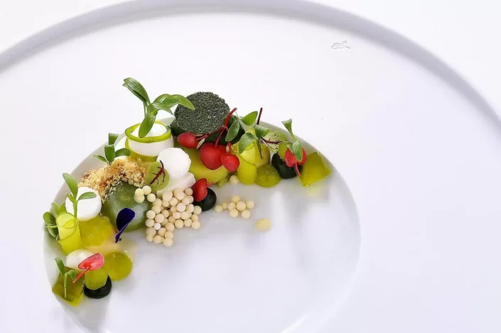 Kunstvoll angerichtete Gourmet Speise auf einem weißen Teller mit frischen Kräutern, Beeren und feinen Texturen in der Foodfotografie.