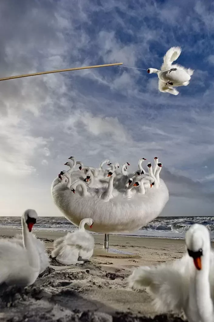 Künstlerische Fotografie mit vielen weißen Schwan-Figuren auf einem Stuhl am Strand von Sylt, ein Schwan schwebt an einer Angel in der Luft.